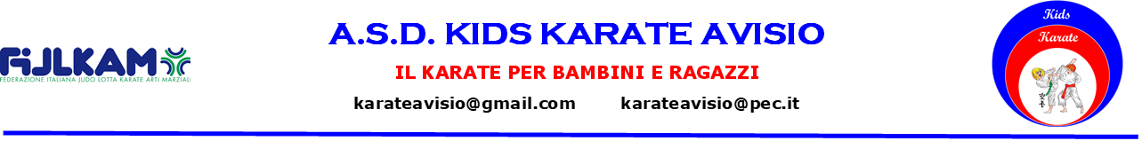 Kids Karate Avisio